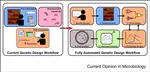 Engineering genetic circuits: advancements in genetic design automation tools and standards for synthetic biology