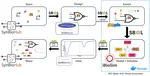 SynBioSuite: A Tool for Improving the Workflow for Genetic Design and Modeling